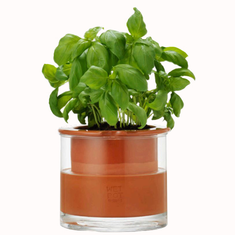 self-watering wet pot planter Self-Watering Wet Pot System for Plants