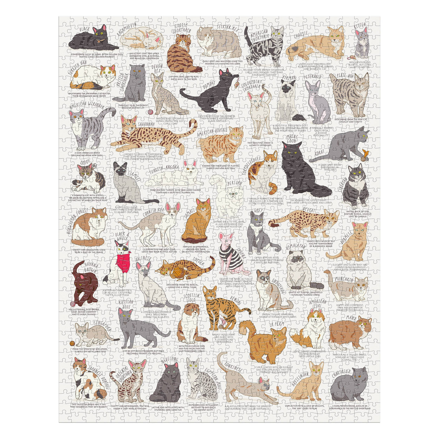 Cat Lover's 1000 Piece Jigsaw Puzzle