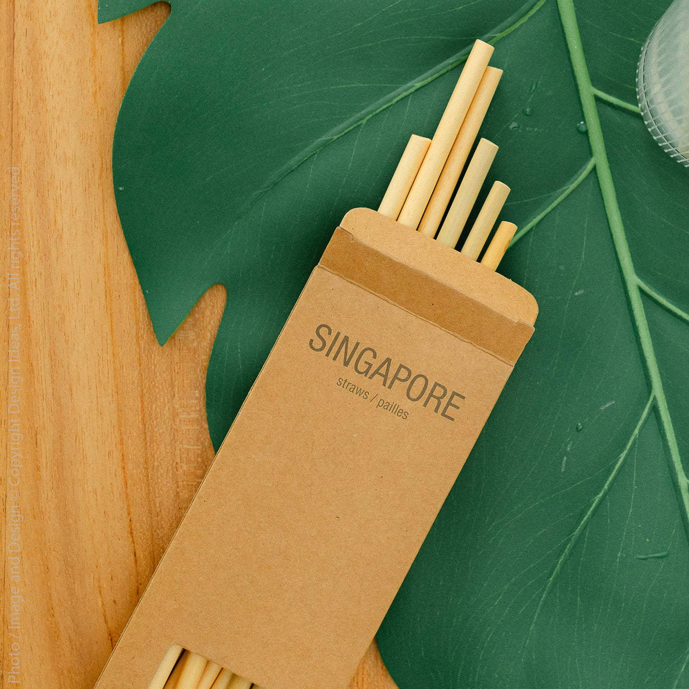 Singaoire Bamboo Straws