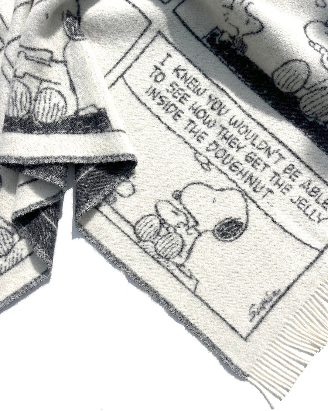Peanuts Snoopy Comic Strip XL Wool Blanket – zillymonkey