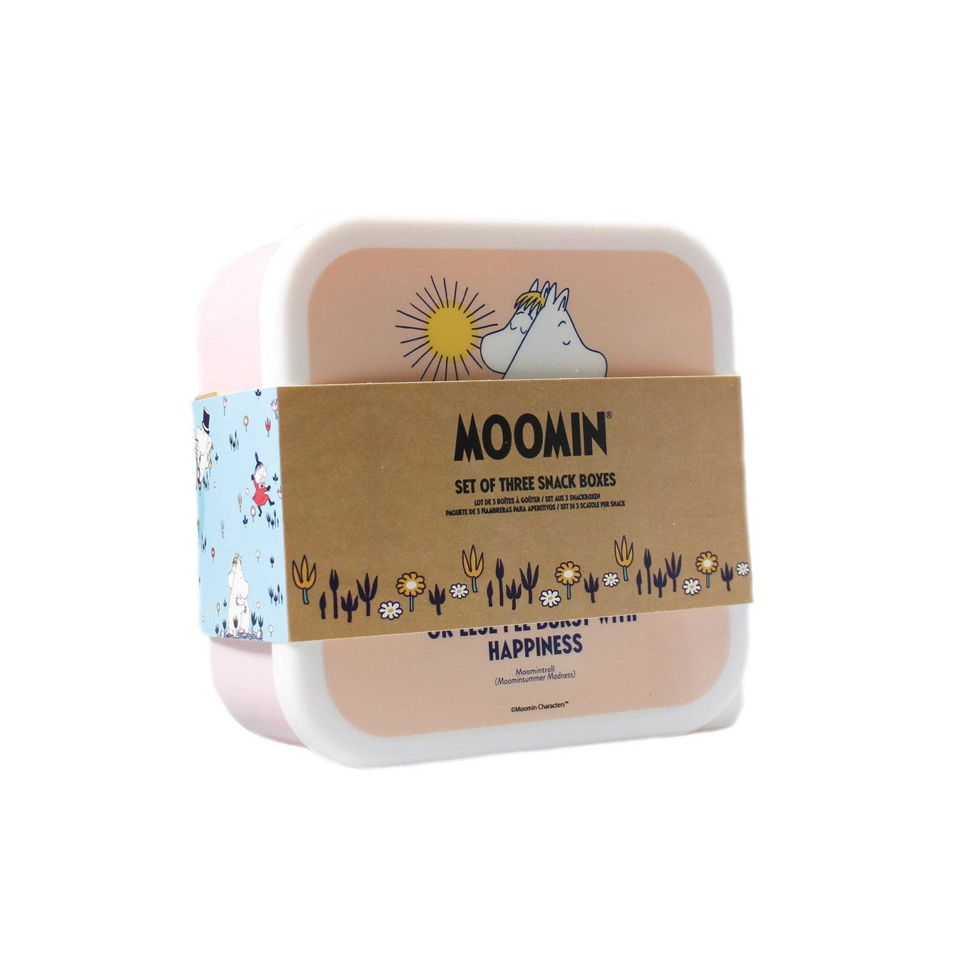 Snack Boxes Set of 3 - Moomin