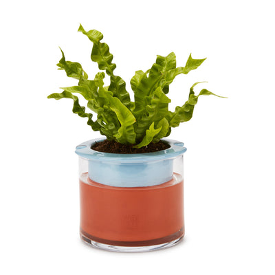 Self-Watering Wet Pot System for Plants Light Blue