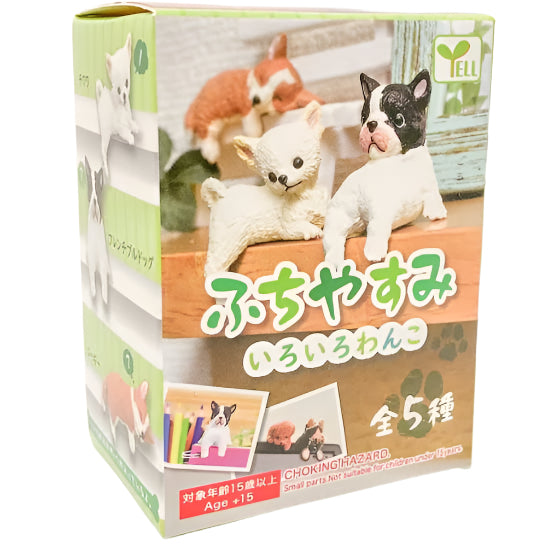 Resting Dog Blind Box