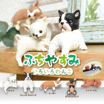 Resting Dog Blind Box