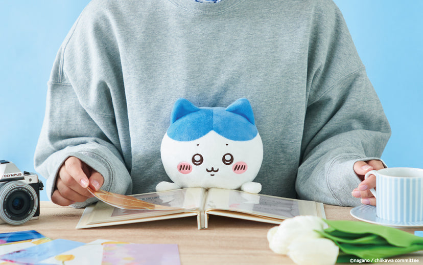 Chiikawa Posture Pal Plush – zillymonkey