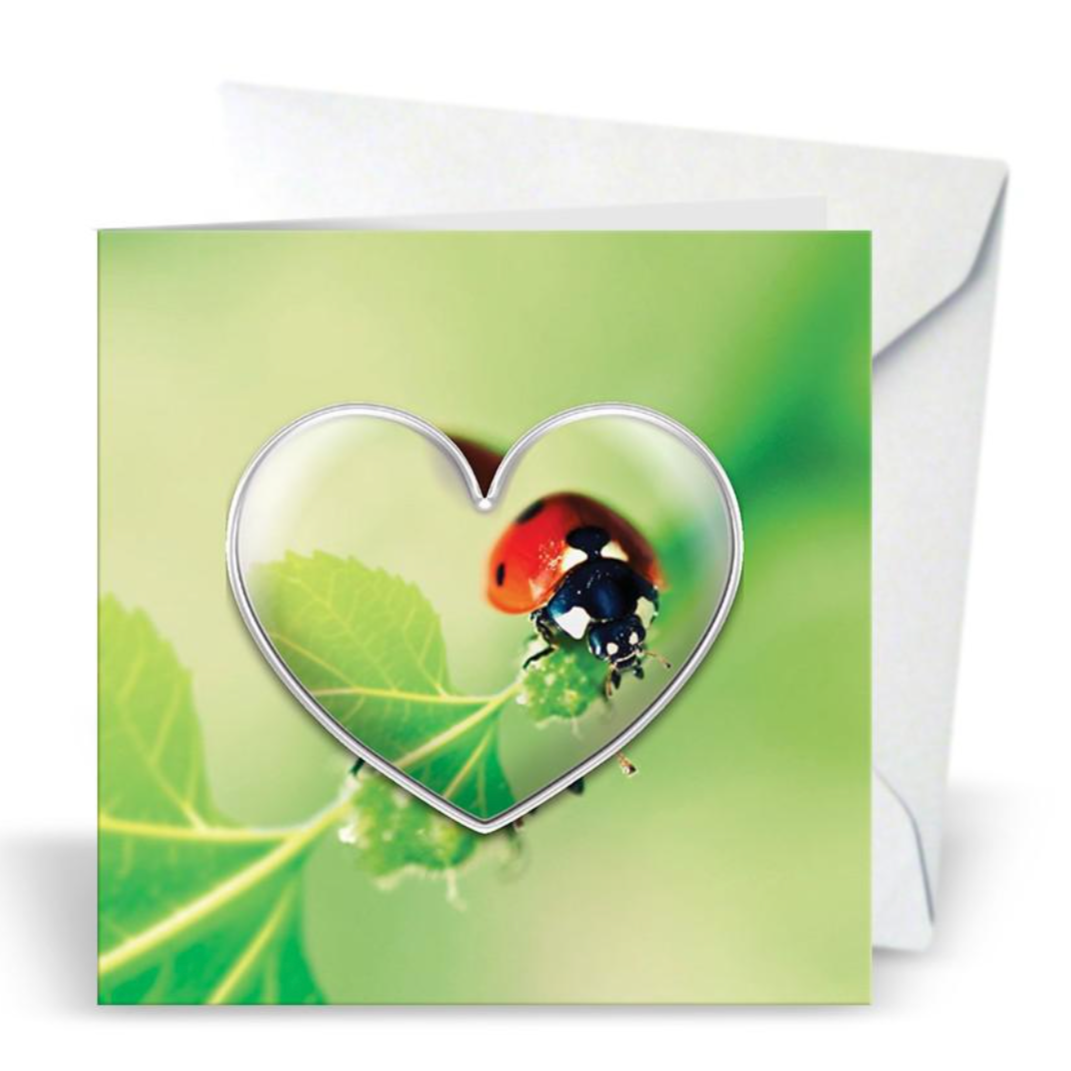Ladybug Greeting Card with Heart Magnet