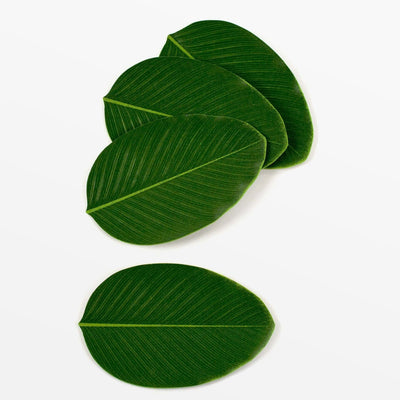 BaliHai Heliconia Leaf Coasters