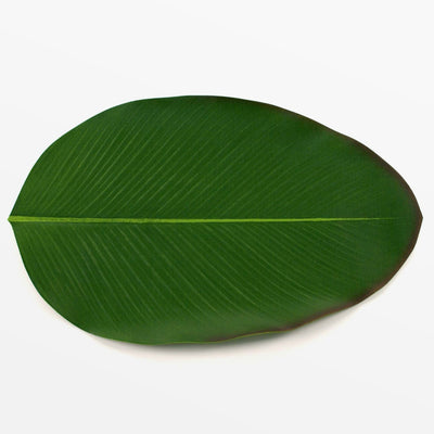 BaliHai Heliconia Leaf Placemat