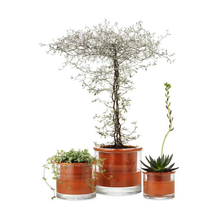 plant spa self watering pot Self-Watering Plant Pot by Wet Pot Systems MOMA