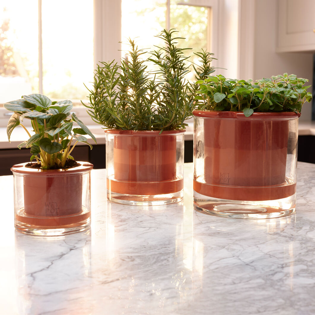 plant pot risers Grey Dog Pot Risers Set – Stylish Decorative Plant Stands main image 0