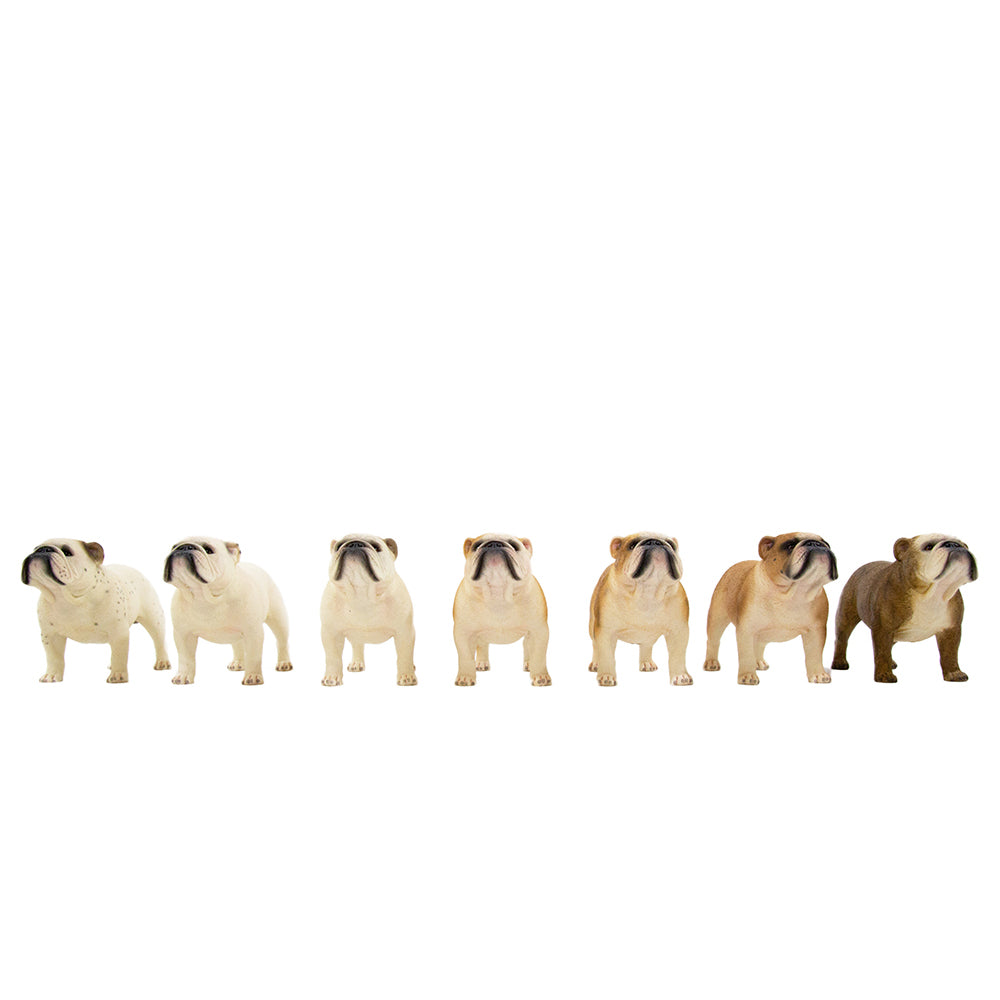 English Bulldog Statue 1:6 (4)