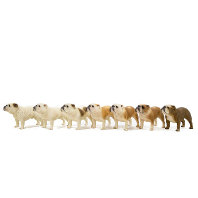 English Bulldog Statue 1:6 (2)