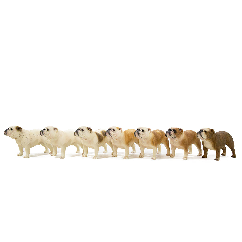 English Bulldog Statue 1:6 (5)