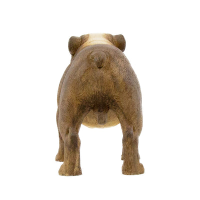 English Bulldog Statue 1:6 (6)