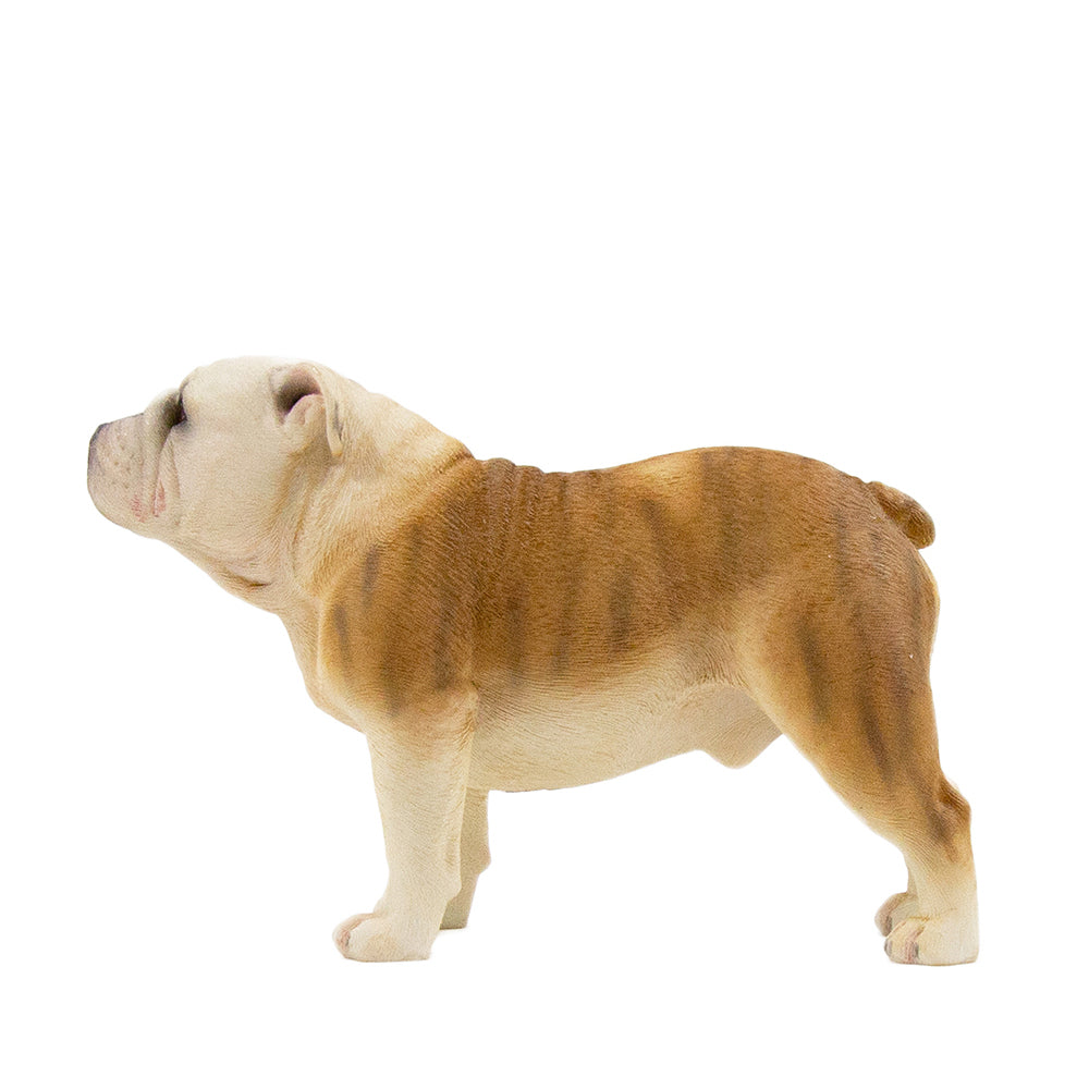 English Bulldog Statue 1:6 (4)