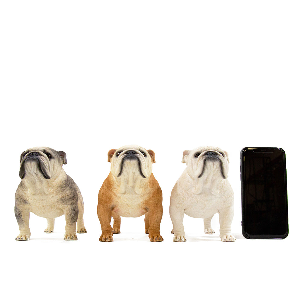 English Bulldog Statue 1:4 (2)