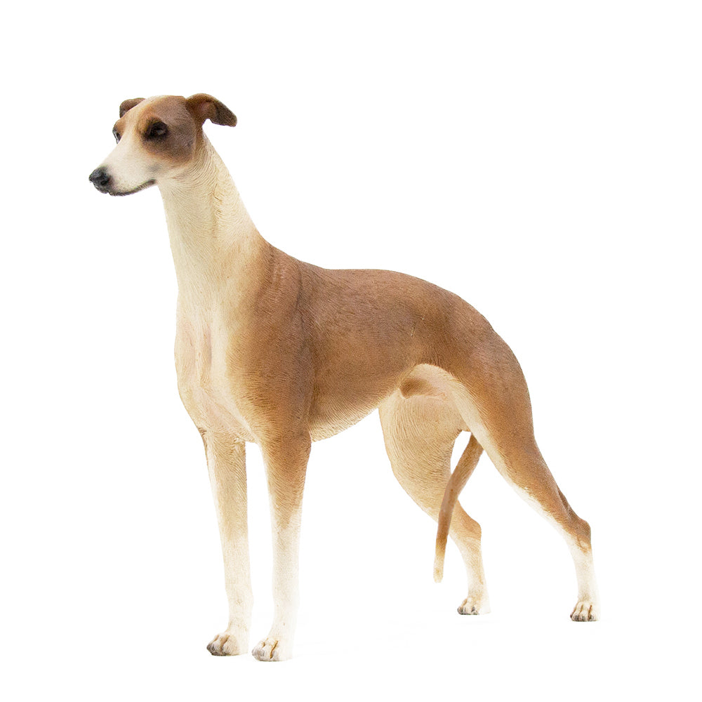 Greyhound Statue 1:6 (3)