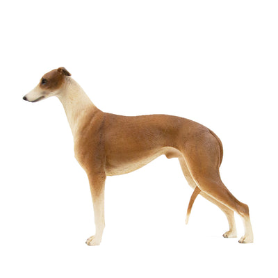 Greyhound Statue 1:6 (3)
