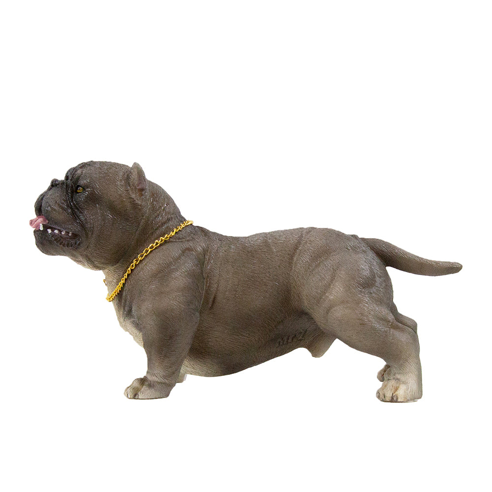 American Bully Exotic Statue 1:6 (5)