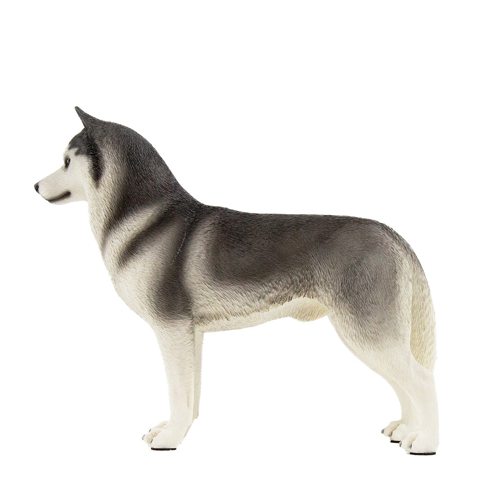 Husky Statue 1:6 (5)