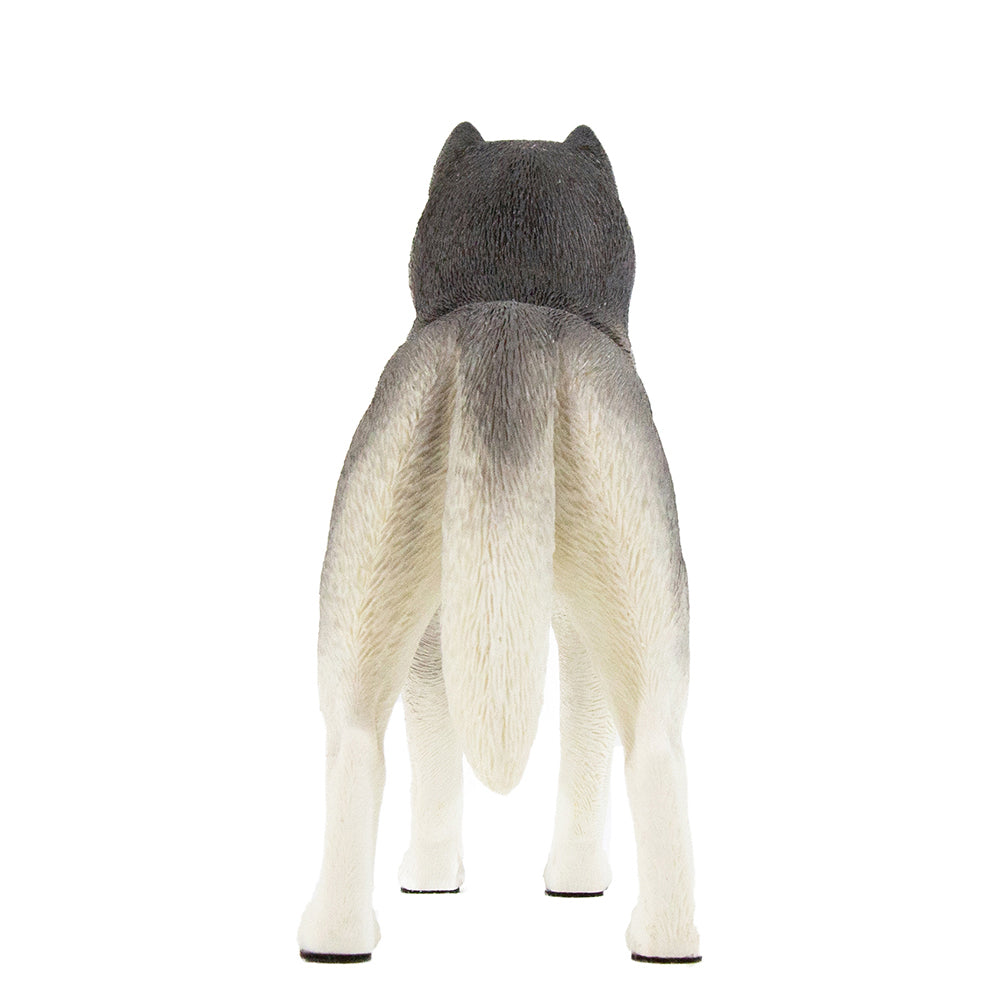 Husky Statue 1:6 (5)