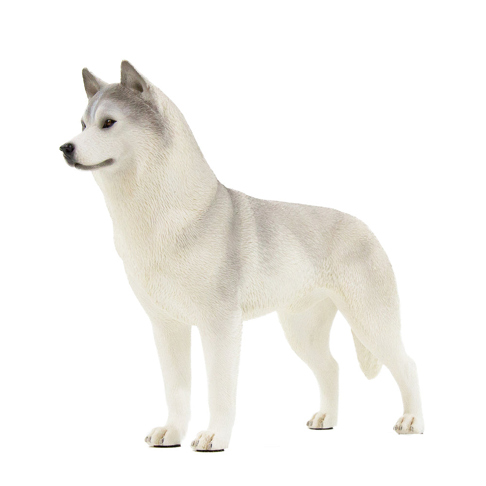 Husky Statue 1:6 (1)
