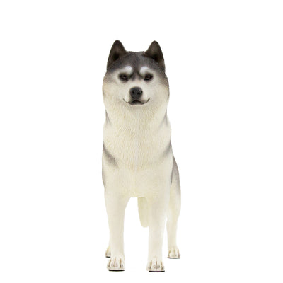 Husky Statue 1:6 (2)