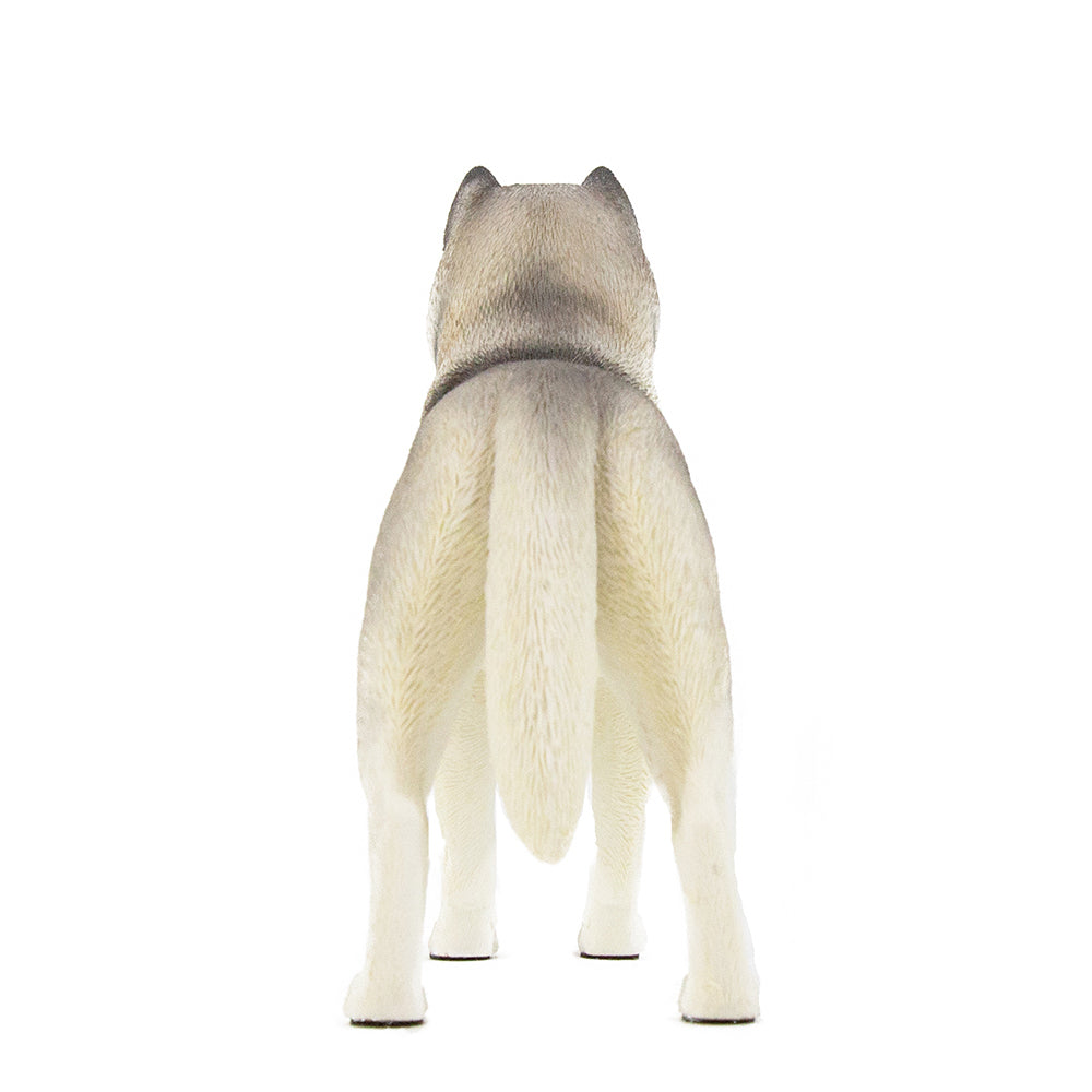 Husky Statue 1:6 (2)