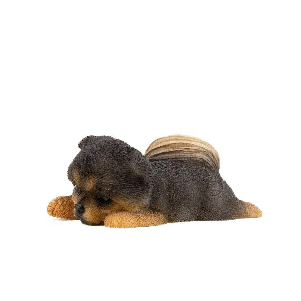 Pomeranian Statue Set with Mat 1:6 (2)