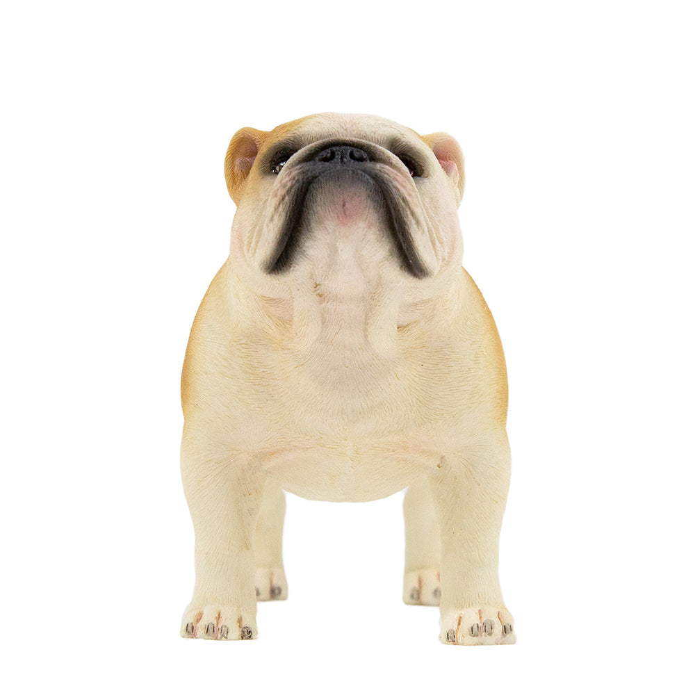 English Bulldog Statue 1:6 (3)