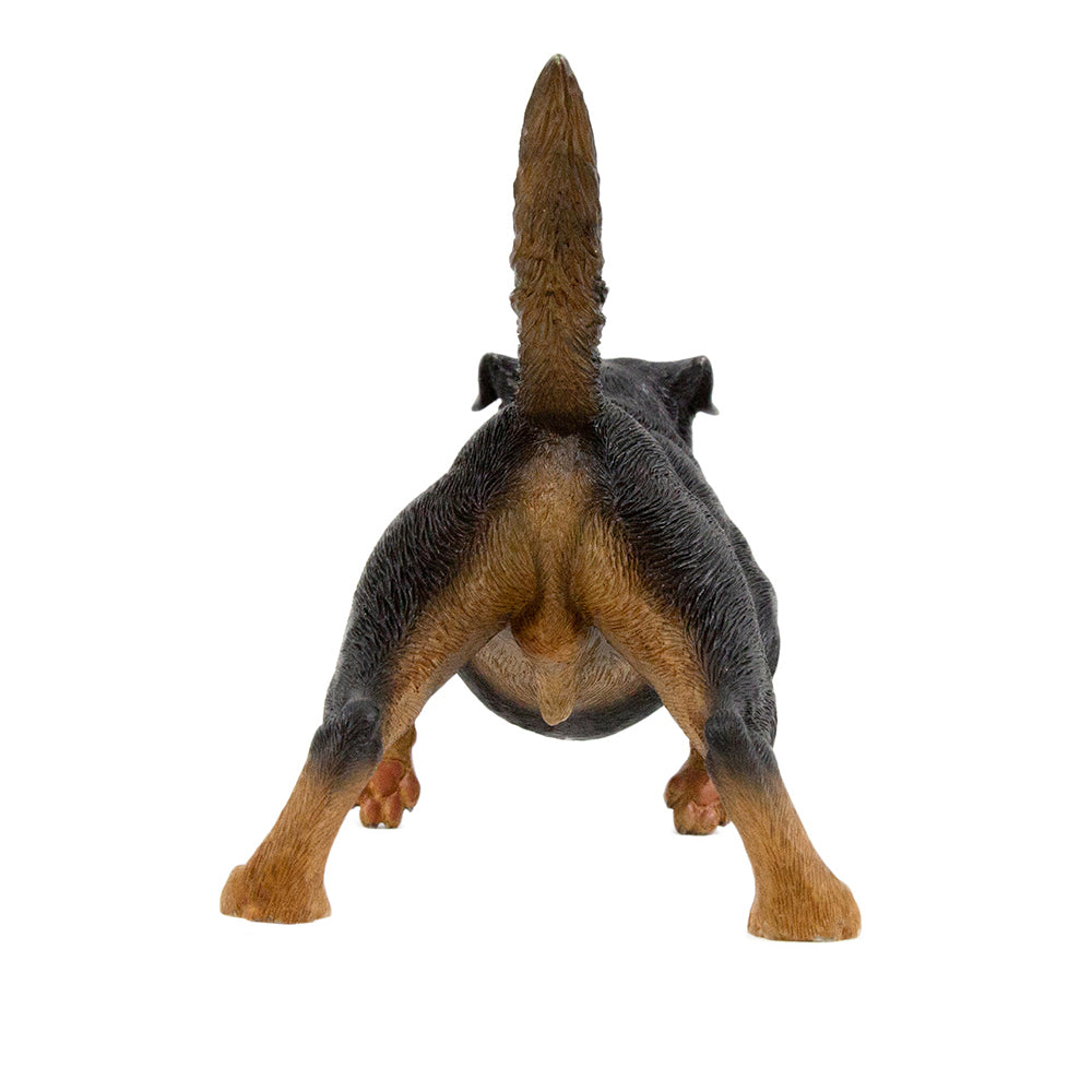 Rottweiler Statue 1:6 (2)