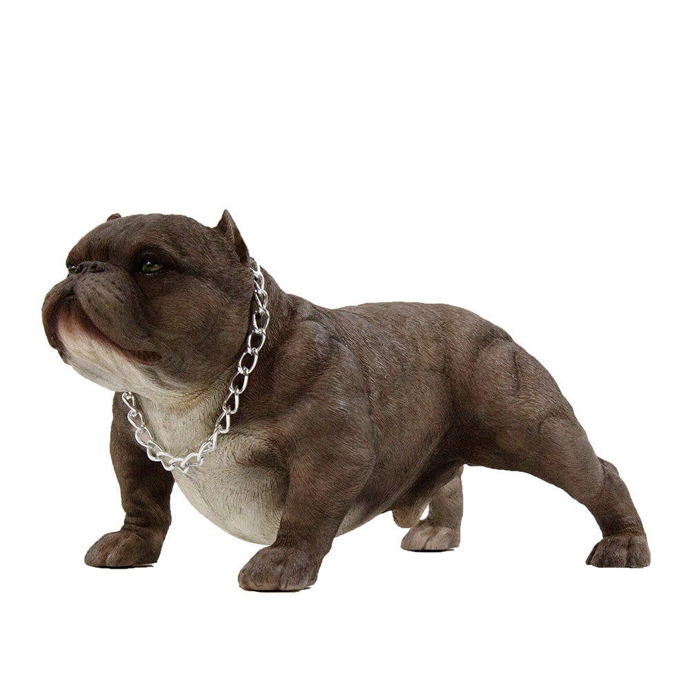 American Bully Exotic Statue 1:4 (4)