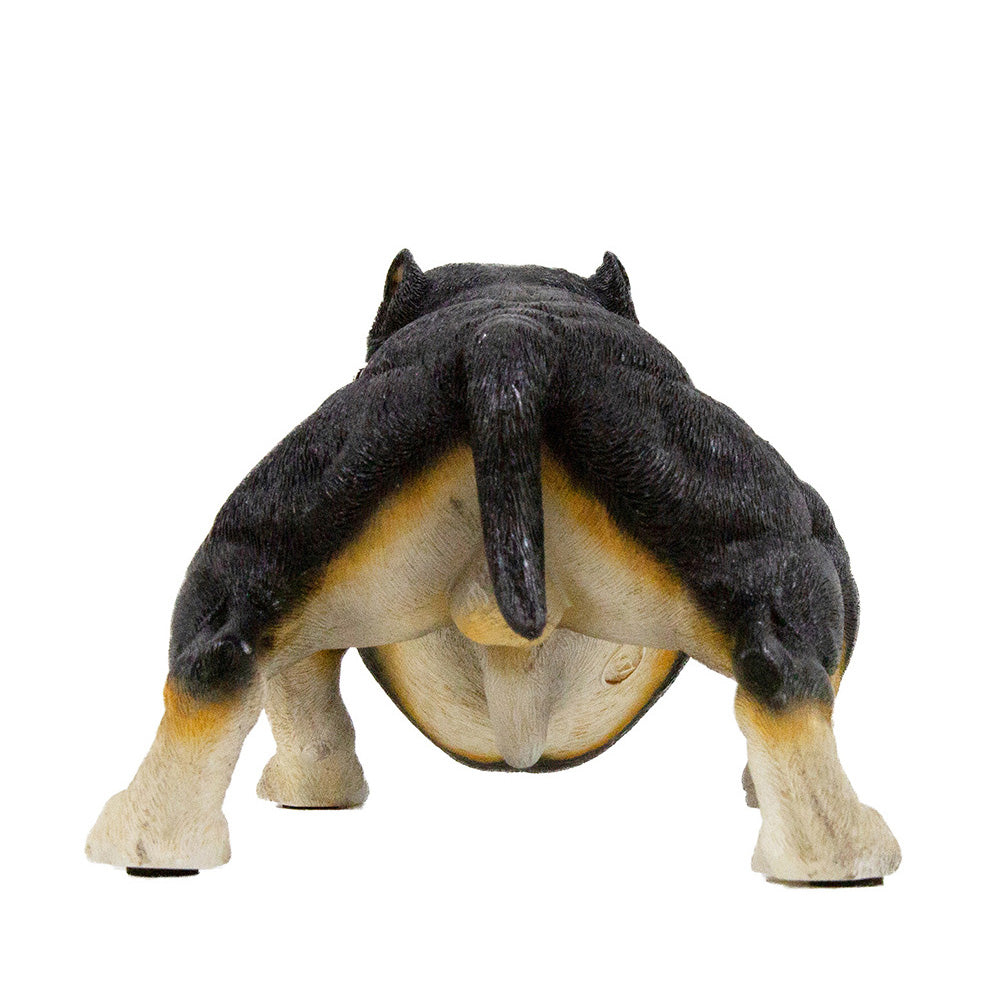 American Bully Exotic Statue 1:4 (1)