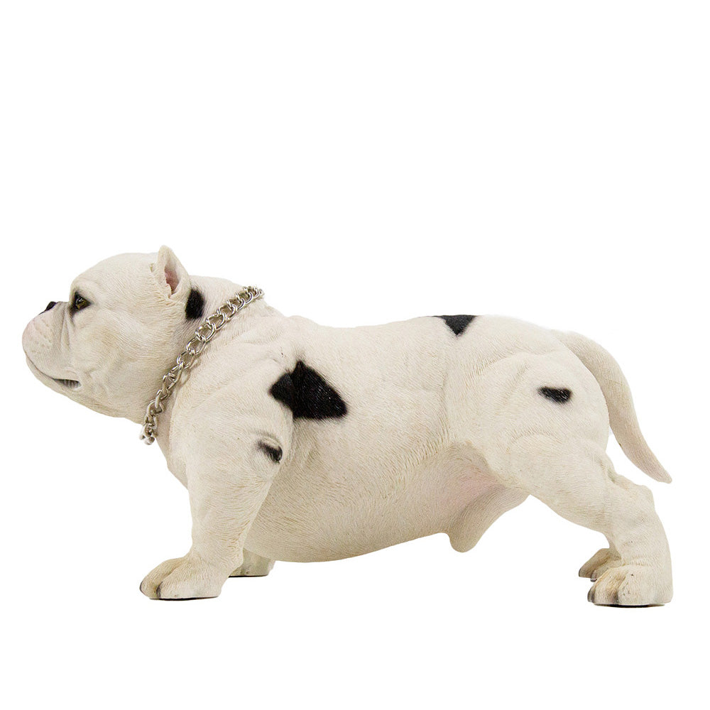 American Bully Exotic Statue 1:4 (2)