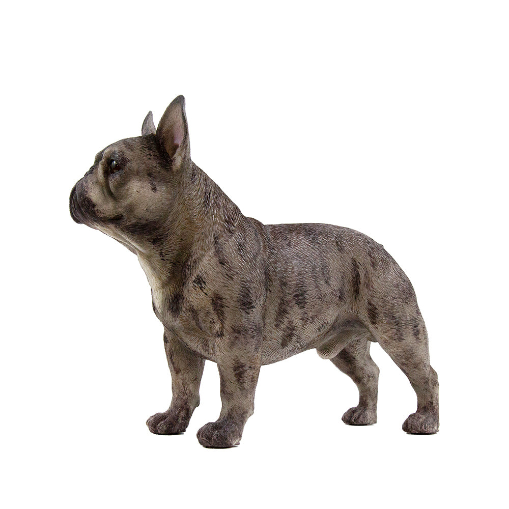 French Bulldog Statue 1:4 (2)