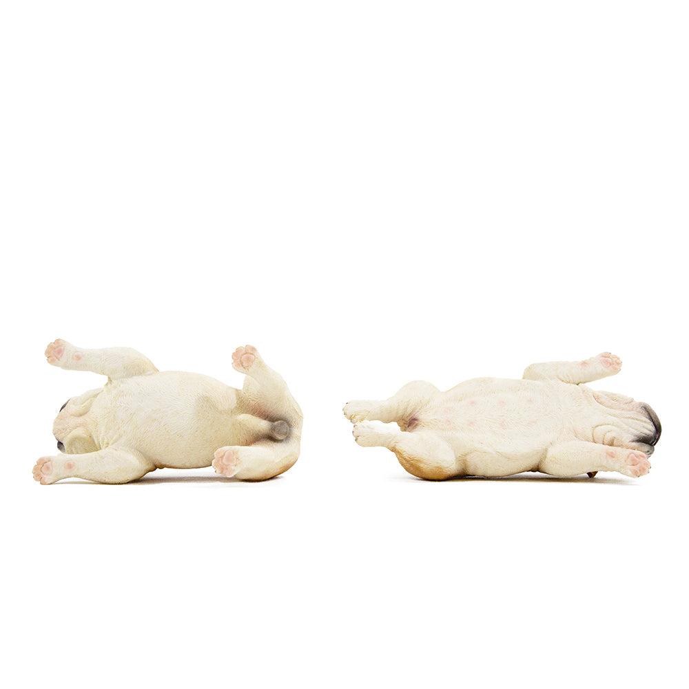 English Bulldog Male & Female Set Statue 1:6 (3)