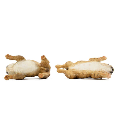 English Bulldog Male & Female Set Statue 1:6 (2)
