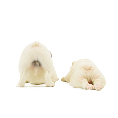 English Bulldog Male & Female Set Statue 1:6 (1)