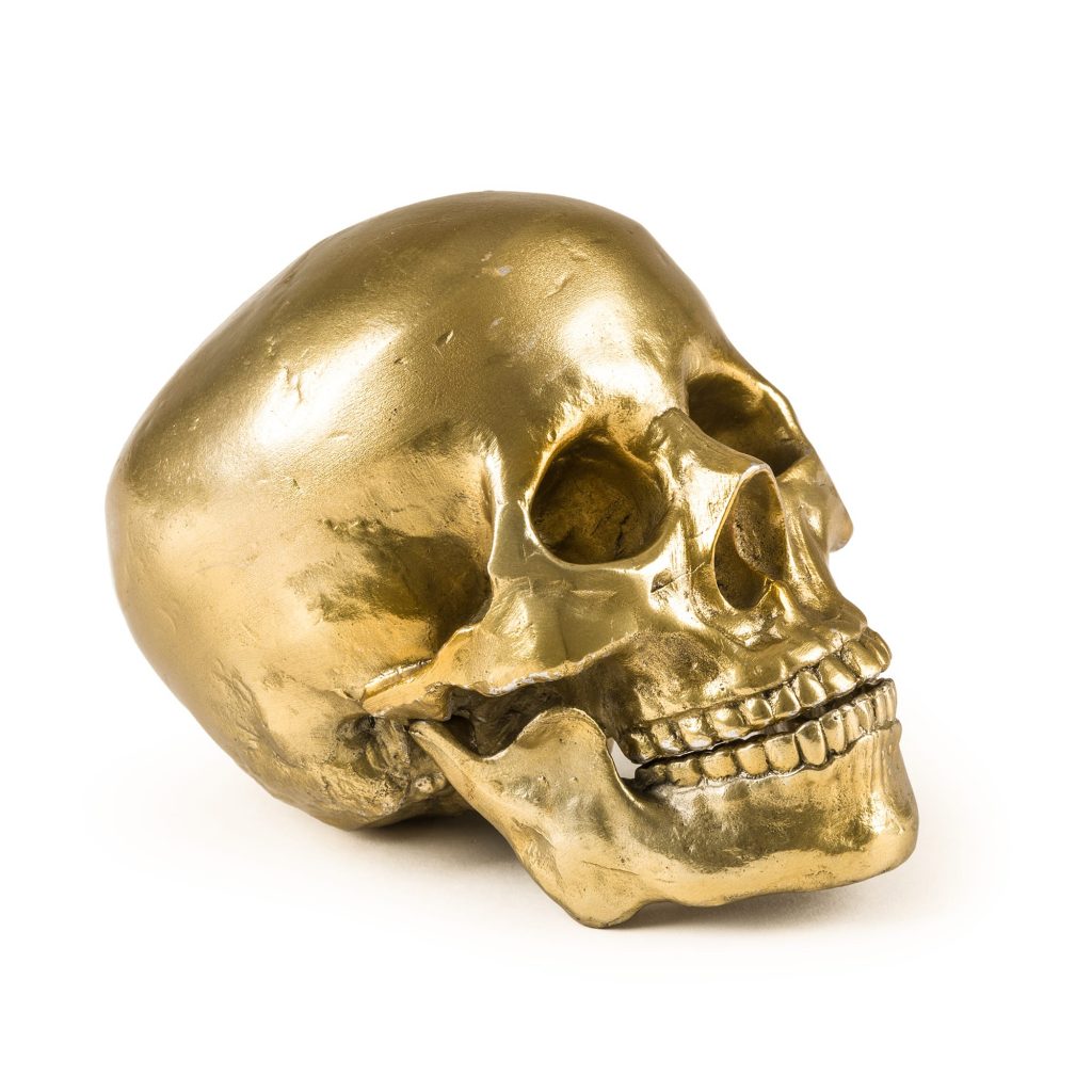 Wunderkammer Human Skull by Diesel Living with Seletti