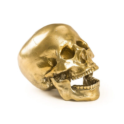 Wunderkammer Human Skull by Diesel Living with Seletti