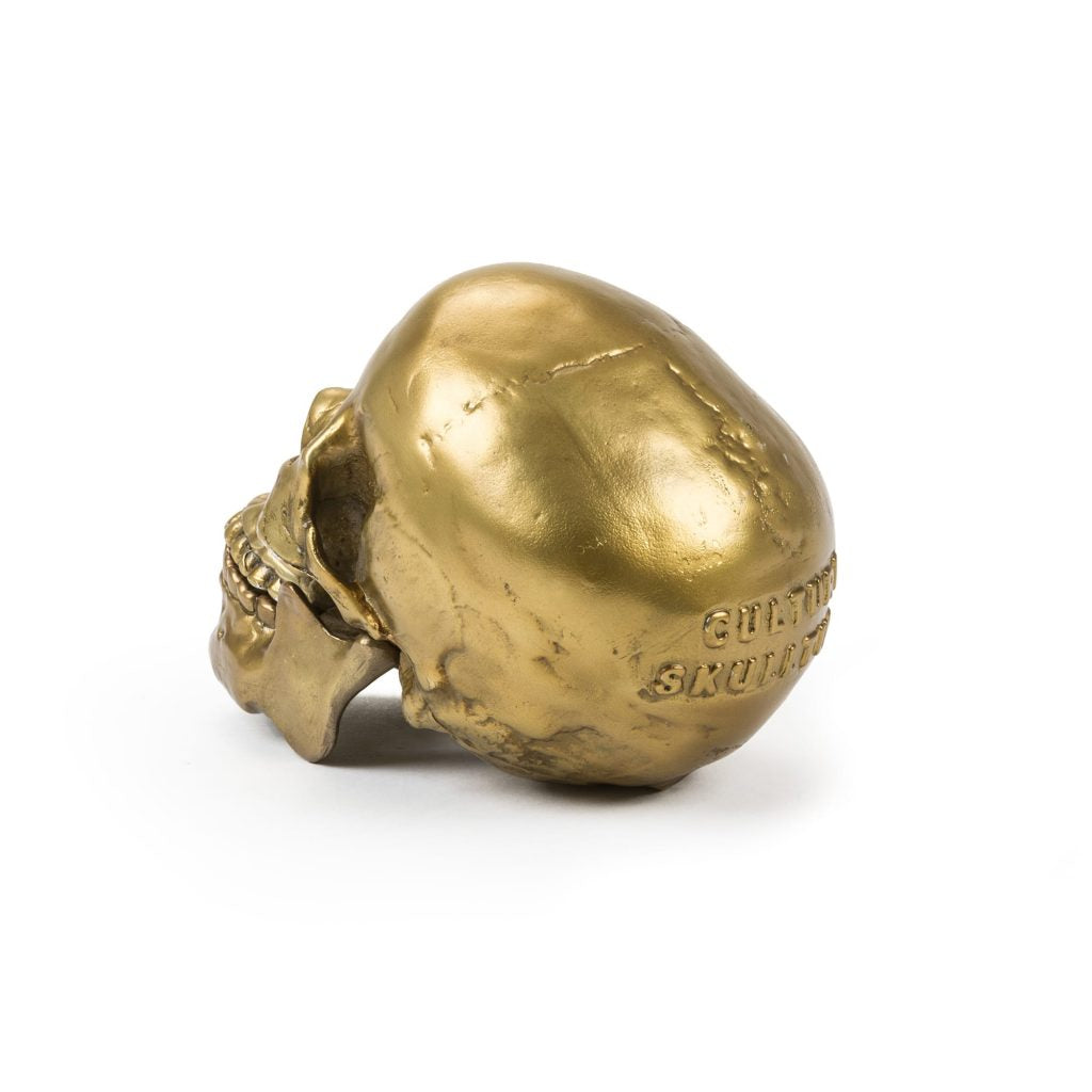 Wunderkammer Human Skull by Diesel Living with Seletti | zillymonkey