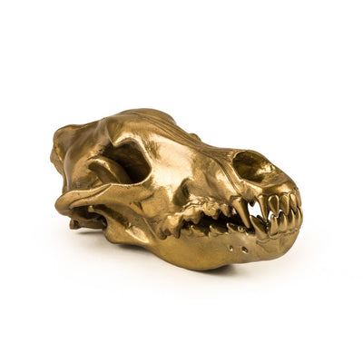 Wunderkammer Wolf Skull by Diesel Living