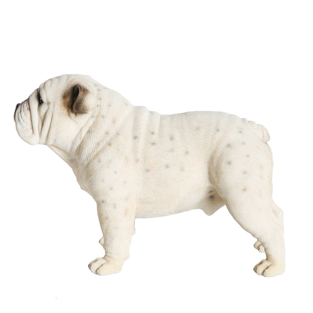 English Bulldog Statue 1:4 (8)