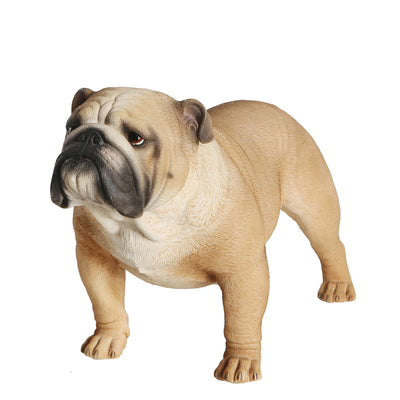 English Bulldog Statue 1:4 (2)