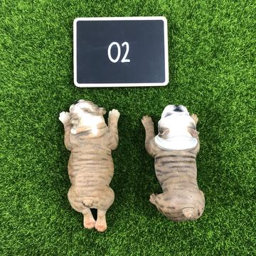 English Bulldog Male & Female Set Statue 1:6 (2)