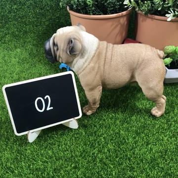 English Bulldog Statue 1:4 (2)