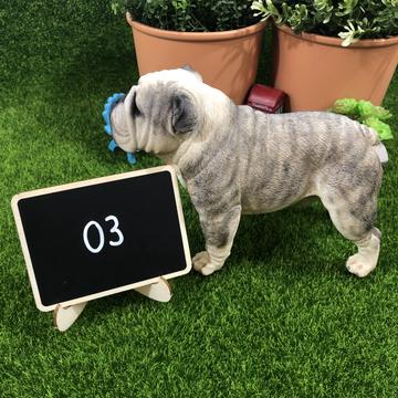 English Bulldog Statue 1:4 (3)