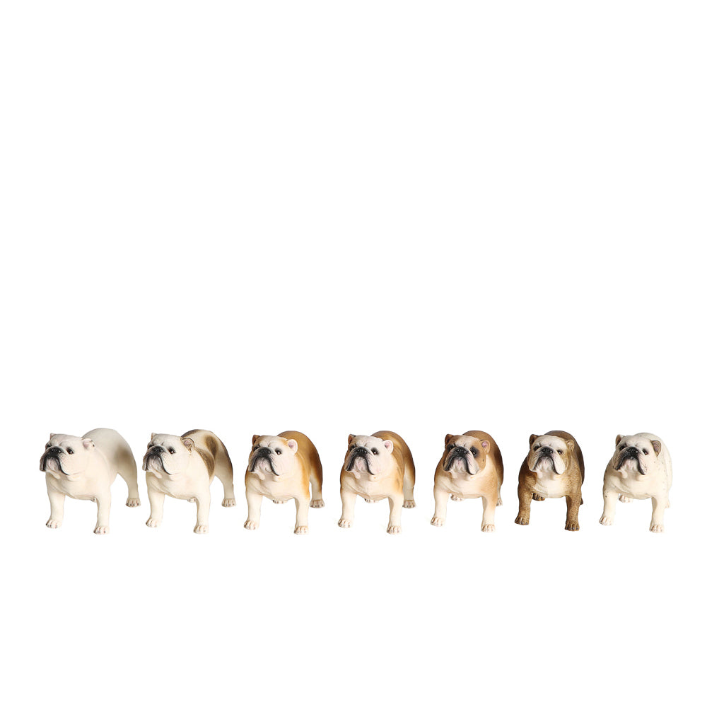 English Bulldog Statue 1:6 (2)