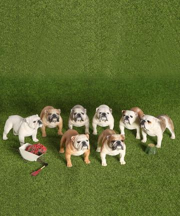 English Bulldog Statue 1:4 (1)