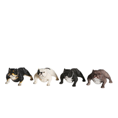 American Bully Exotic Statue 1:4 (4)